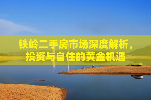铁岭二手房市场深度解析，投资与自住的黄金机遇