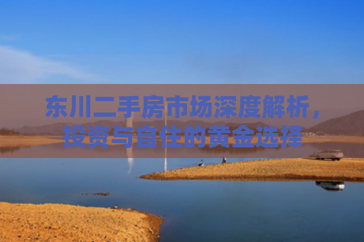 东川二手房市场深度解析，投资与自住的黄金选择