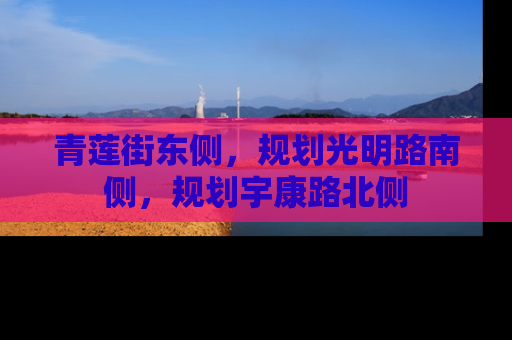 青莲街东侧，规划光明路南侧，规划宇康路北侧