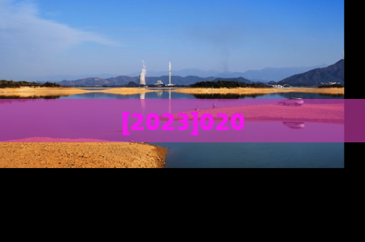 [2023]020