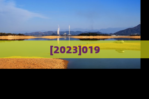 [2023]019