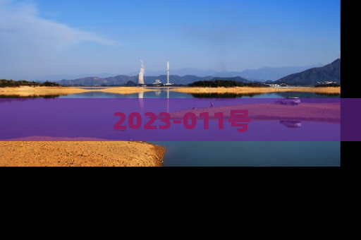 2023-011号
