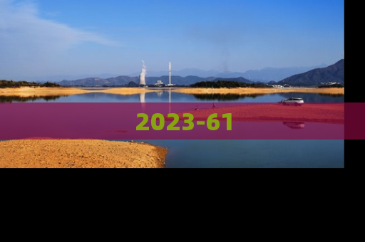 2023-61