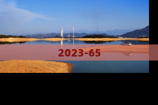 2023-65