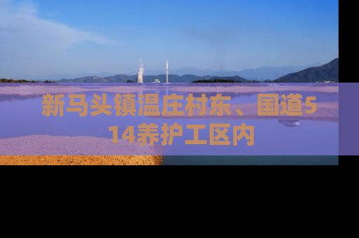 新马头镇温庄村东、国道514养护工区内