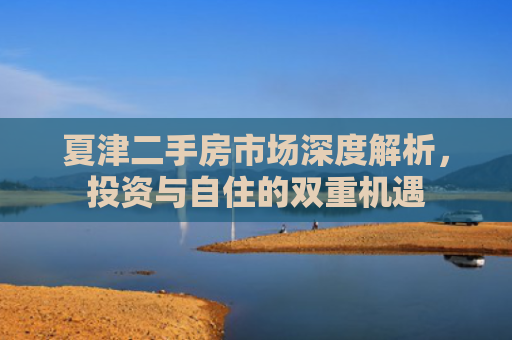 夏津二手房市场深度解析，投资与自住的双重机遇