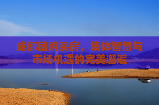 成都团购买房，集体智慧与市场机遇的完美邂逅