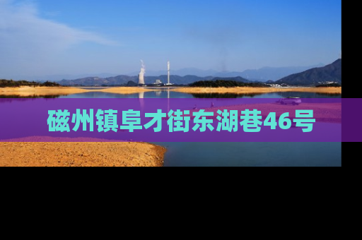 磁州镇阜才街东湖巷46号