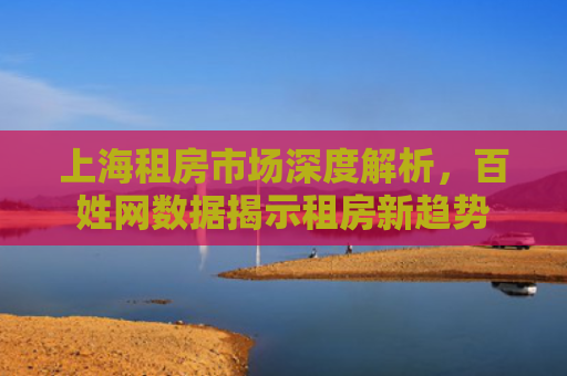 上海租房市场深度解析，百姓网数据揭示租房新趋势