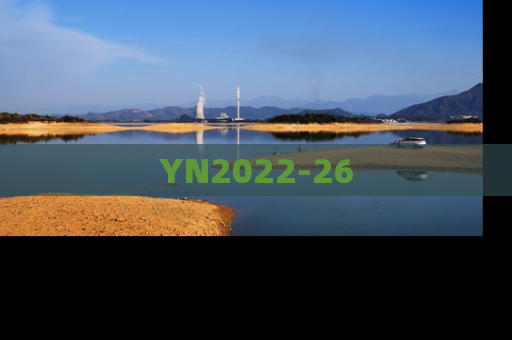 YN2022-26