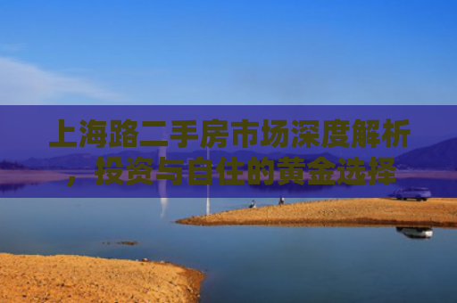 上海路二手房市场深度解析，投资与自住的黄金选择