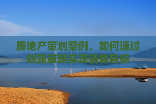 房地产策划案例，如何通过创新策略实现销售目标