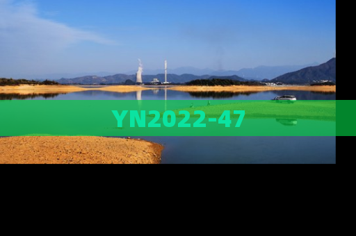 YN2022-47