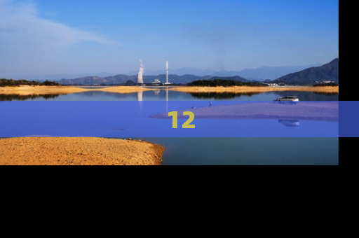 12