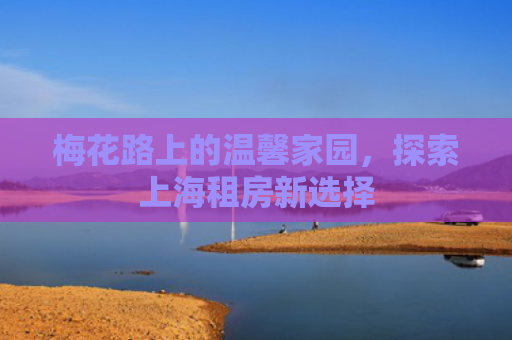 梅花路上的温馨家园，探索上海租房新选择