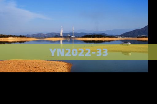 YN2022-33