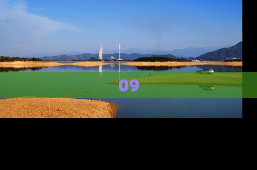 09