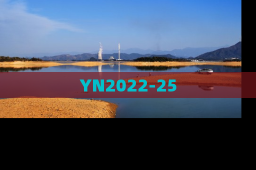 YN2022-25
