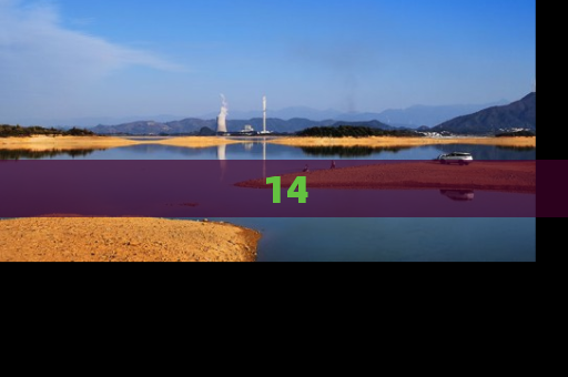 14