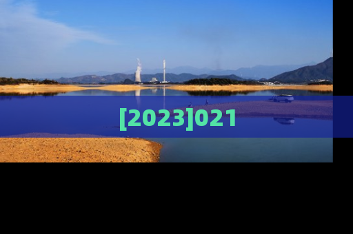 [2023]021