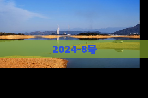 2024-8号