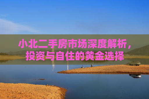 小北二手房市场深度解析，投资与自住的黄金选择