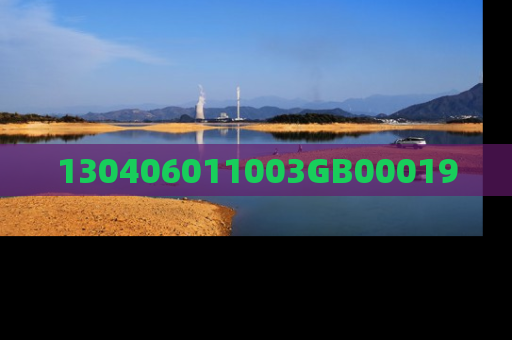 130406011003GB00019