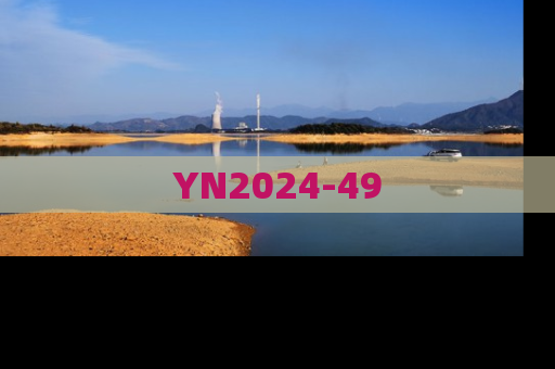 YN2024-49