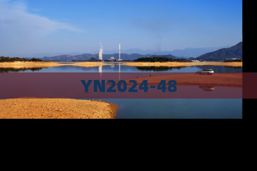 YN2024-48