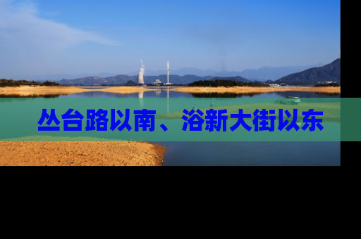丛台路以南、浴新大街以东