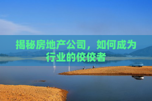 揭秘房地产公司，如何成为行业的佼佼者