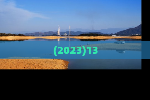 (2023)13