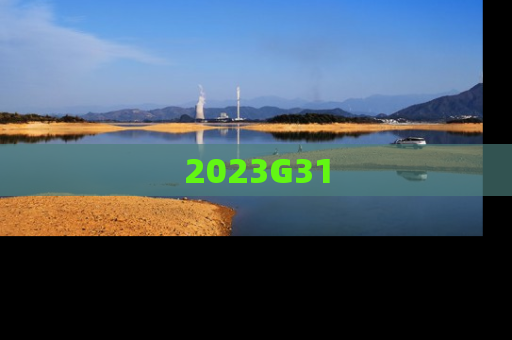 2023G31