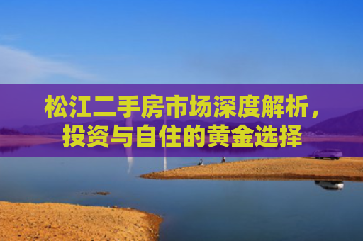 松江二手房市场深度解析，投资与自住的黄金选择