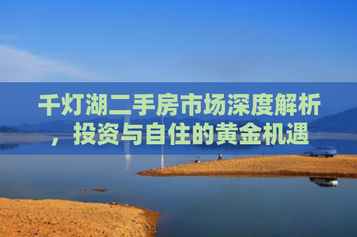 千灯湖二手房市场深度解析，投资与自住的黄金机遇