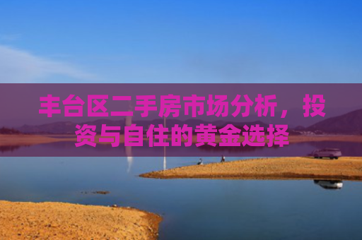 丰台区二手房市场分析，投资与自住的黄金选择