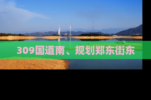 309国道南、规划郑东街东