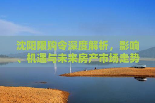 沈阳限购令深度解析，影响、机遇与未来房产市场走势