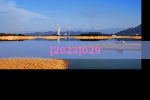 [2023]029