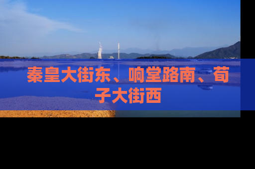 秦皇大街东、响堂路南、荀子大街西