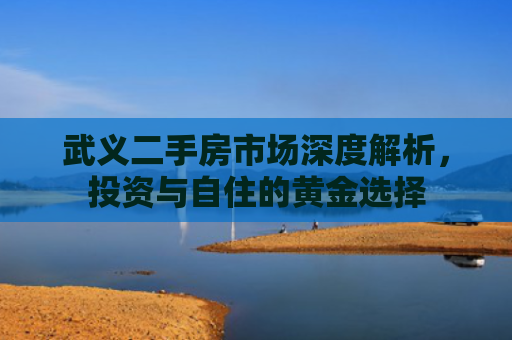 武义二手房市场深度解析，投资与自住的黄金选择