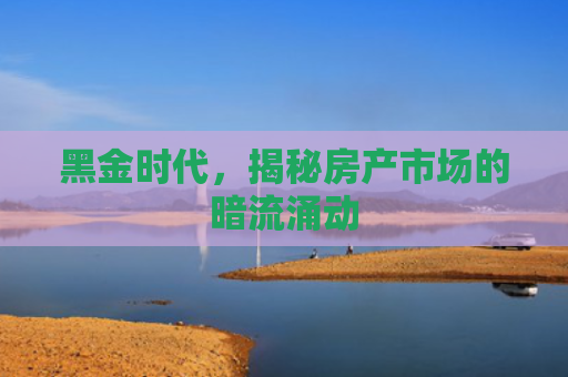黑金时代，揭秘房产市场的暗流涌动