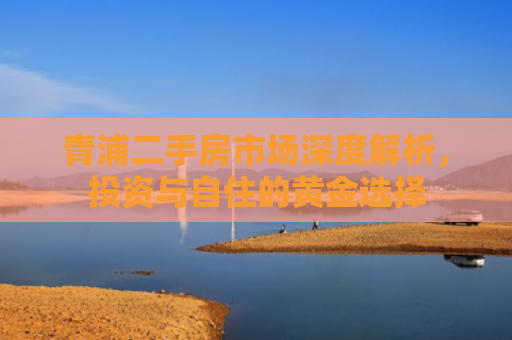 青浦二手房市场深度解析，投资与自住的黄金选择