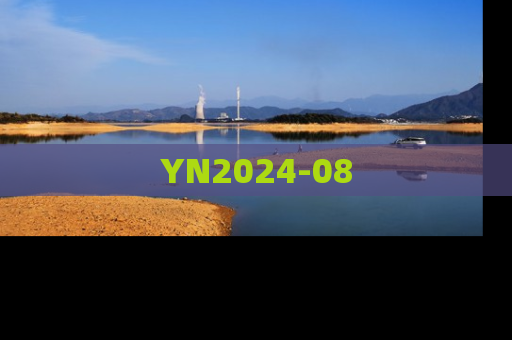 YN2024-08