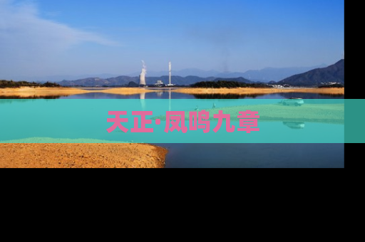 天正·凤鸣九章