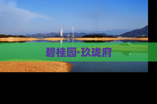 碧桂园·玖珑府
