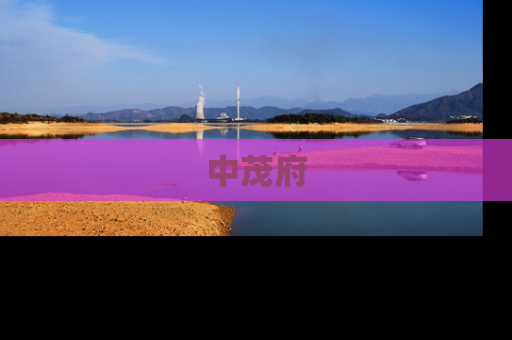 中茂府