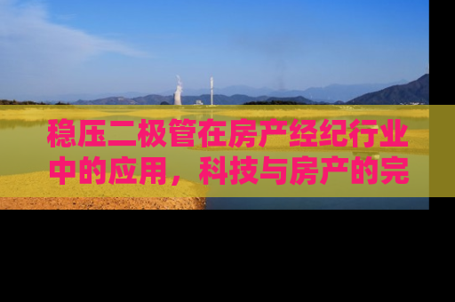 稳压二极管在房产经纪行业中的应用，科技与房产的完美融合