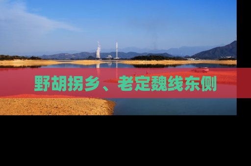 野胡拐乡、老定魏线东侧