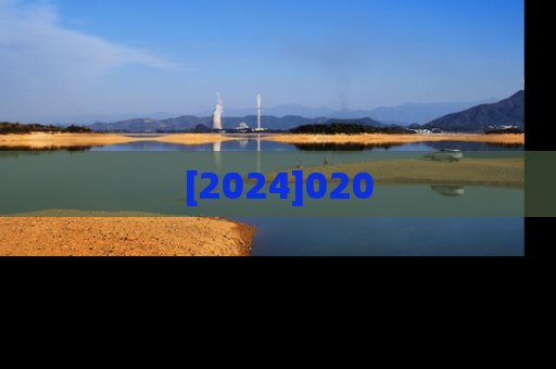[2024]020